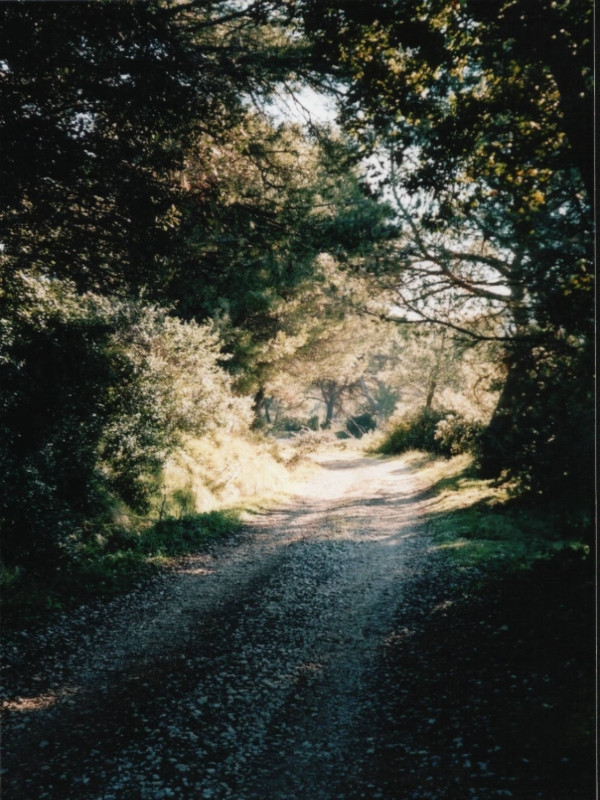 Le Vallon du Pin (Aurons)