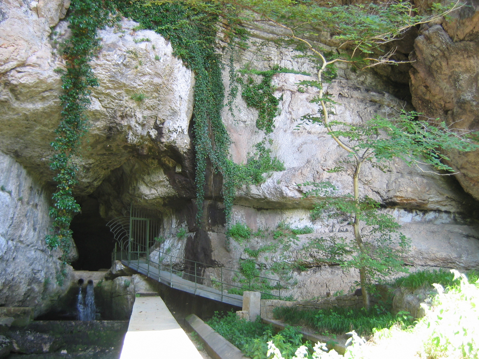 Grotte Corveissiat 18 juin 2004 018