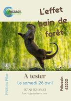 L'effet bain de forêt_Pélussin
