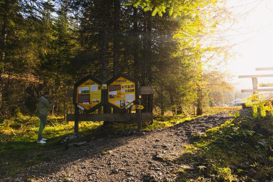 Morgins - Sentier des abeilles (sentier apicole)_Morgins