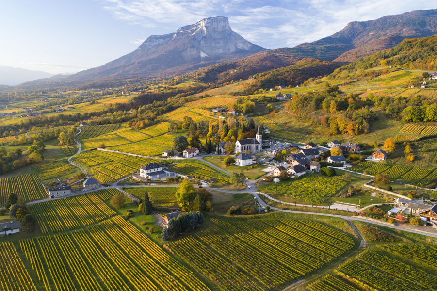 La falaise du Mont Granier depuis la vallée