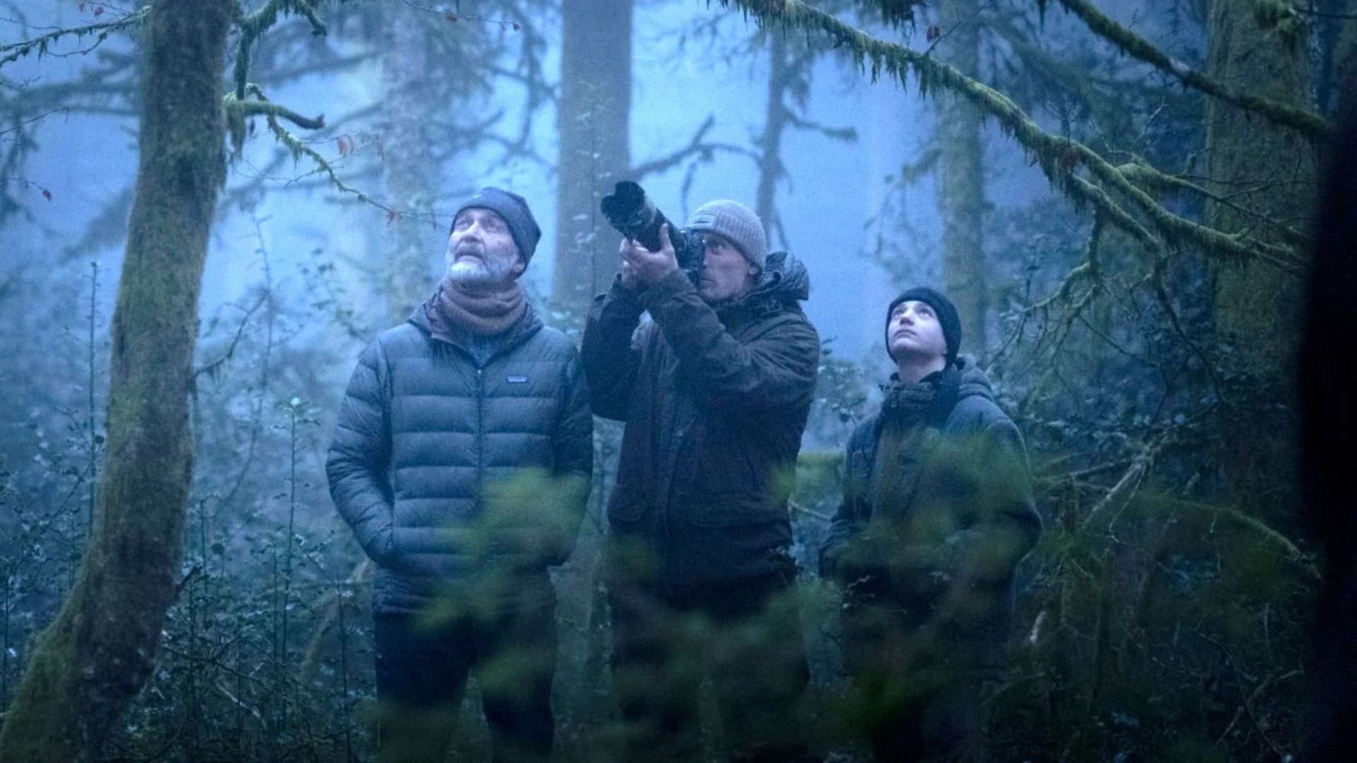 Cinéma au village : le chant des forêts