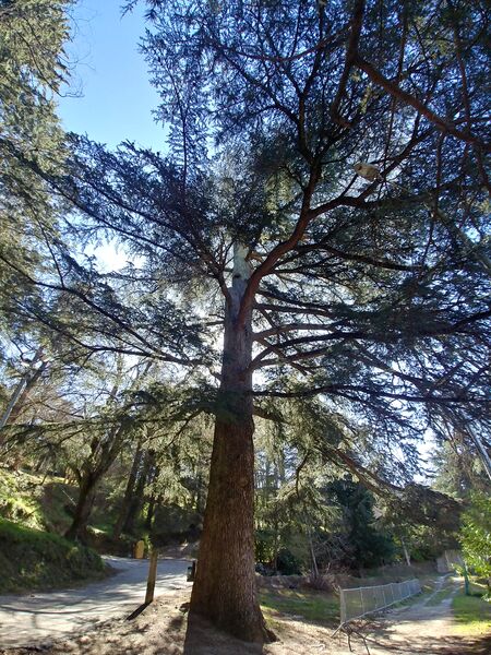 Parc Saint Roch à Collobrières