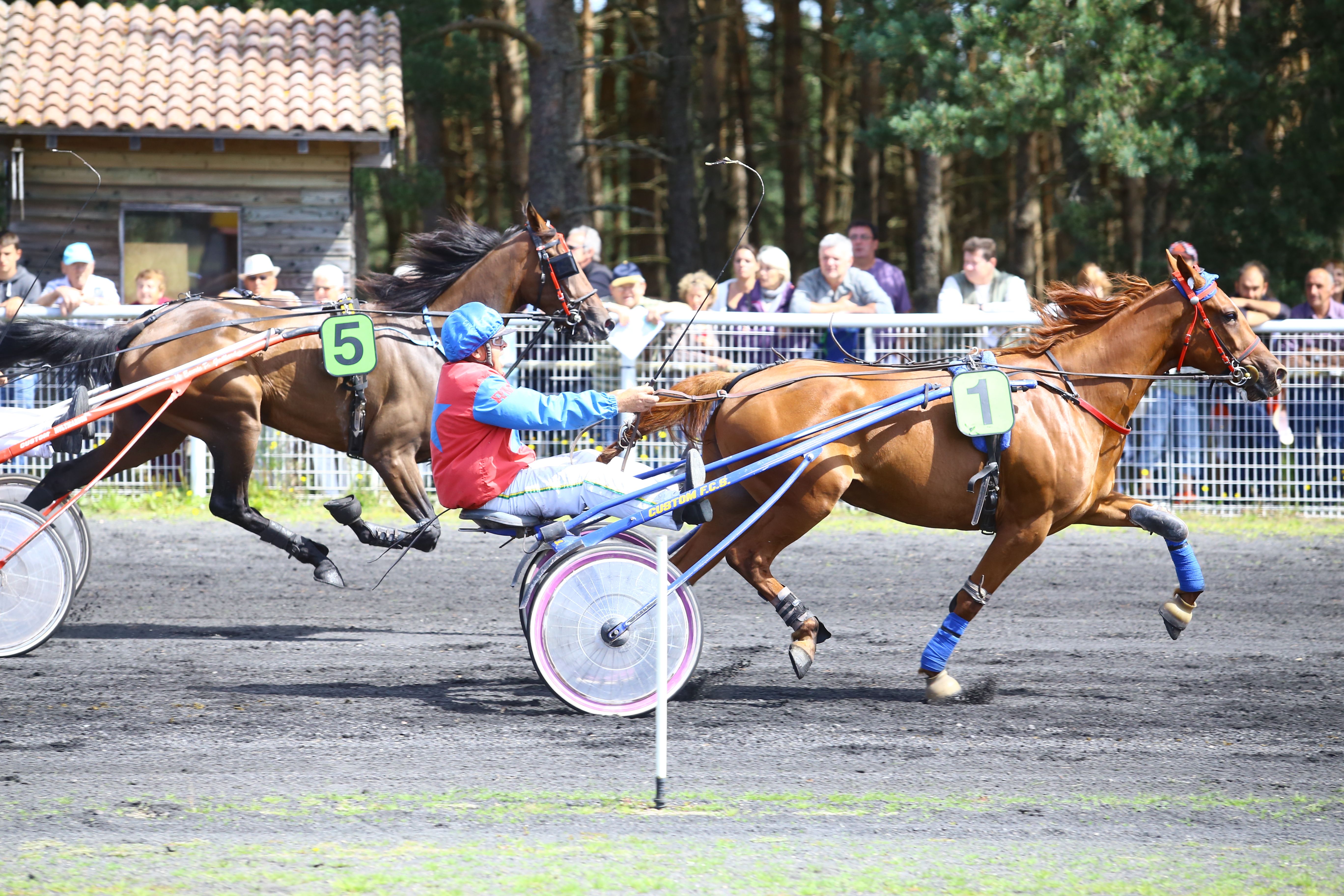 Courses Hippiques - Hippodrome de Jullianges