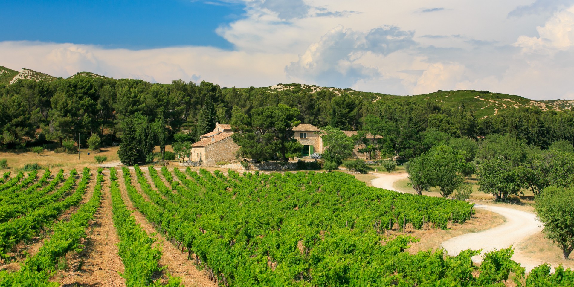 "Vignobles en Scène" au Mas de Gourgonnier