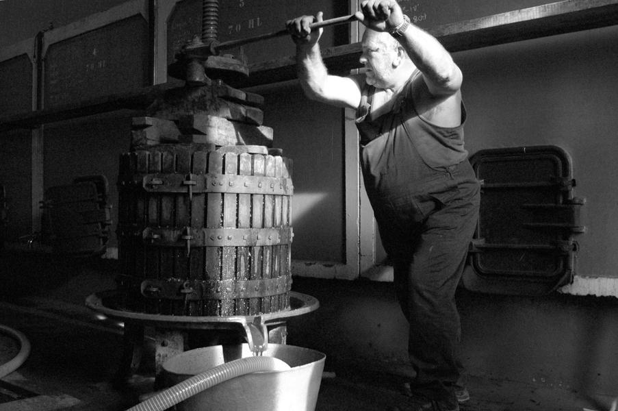 Pressoir - Domaine Coteaux des Oliviers Quincié