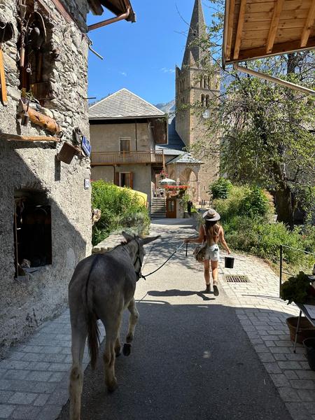 Vallouise Aventure Itinérante avec des Ânes au cœur du pays des Ecrins_Vallouise-Pelvoux
