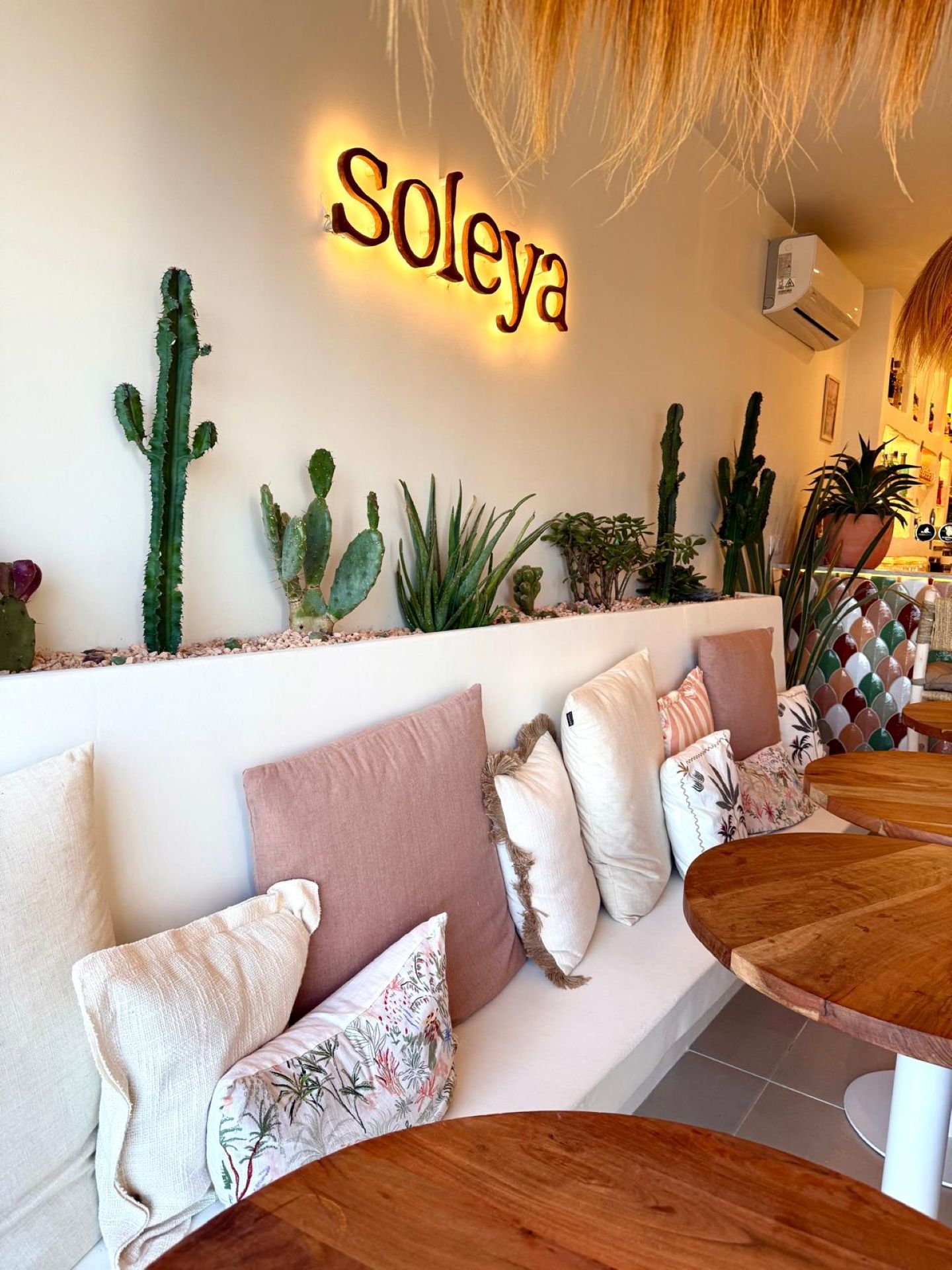Soleya — photo 2