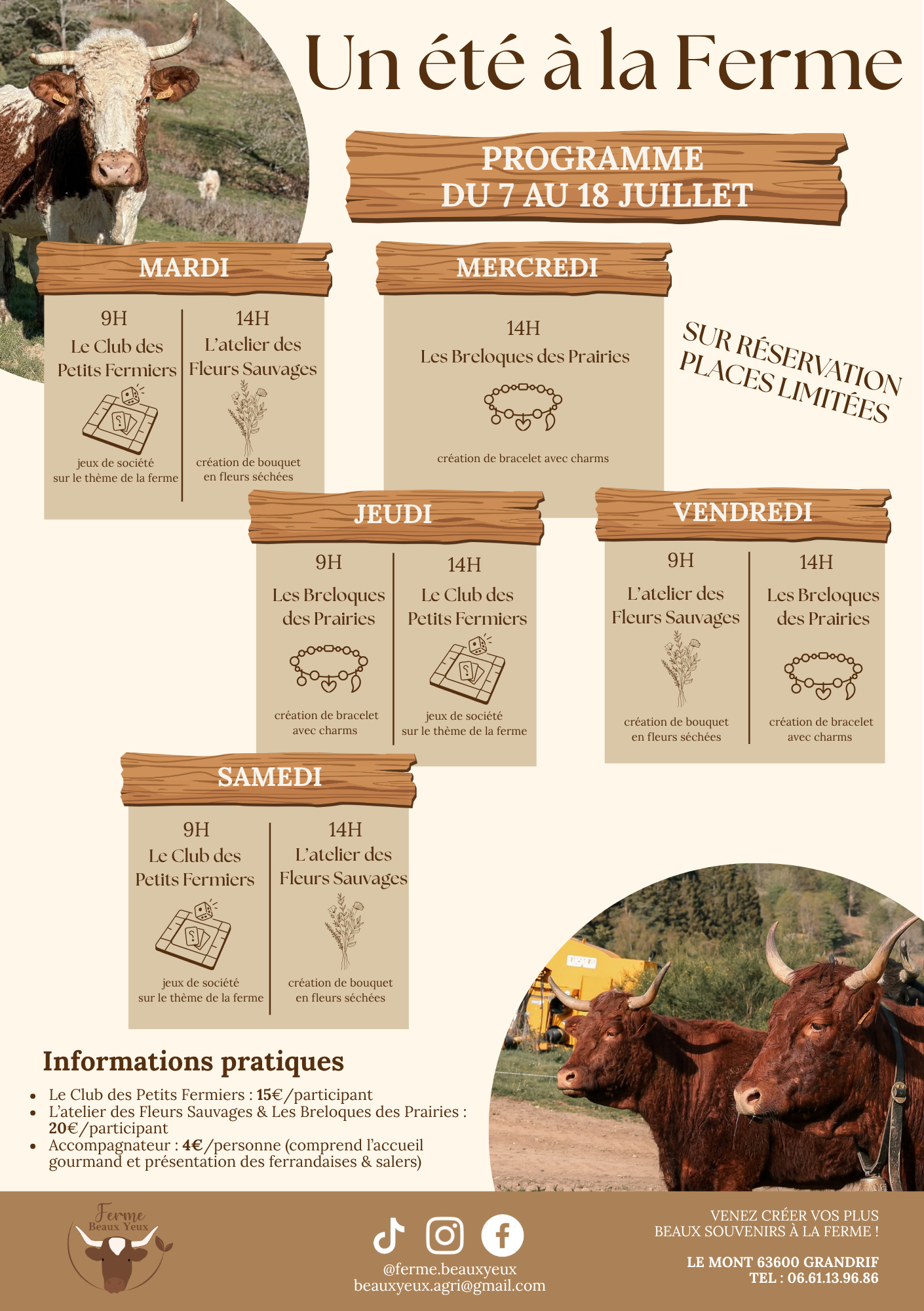 Un été à la ferme – Ateliers créatifs et découverte d’un élevage de ferrandaises et salers