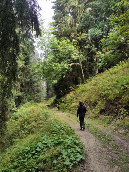 Sentier découverte de Villard Reculas_Villard-Reculas