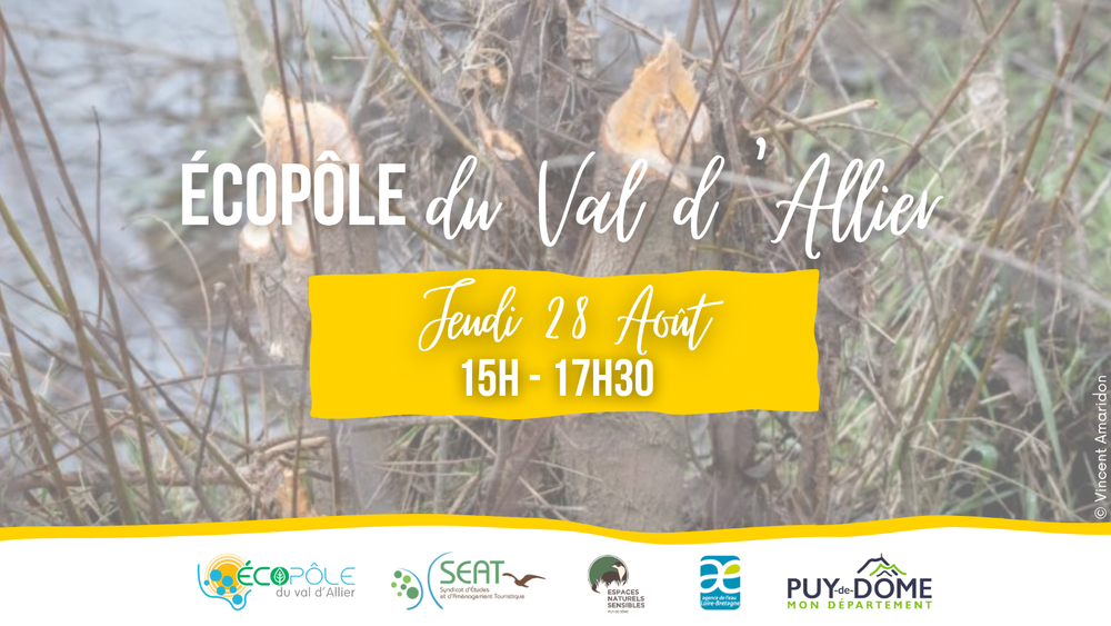 Balade ludique, l'Allier sources de vies : le retour du Castor | Écopôle du Val d'Allier
