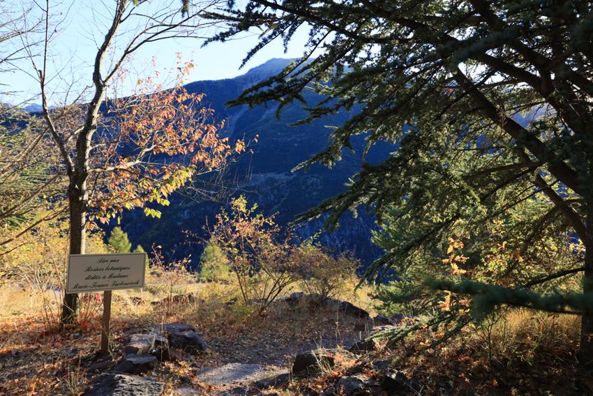 L'aire aux rosiers botaniques