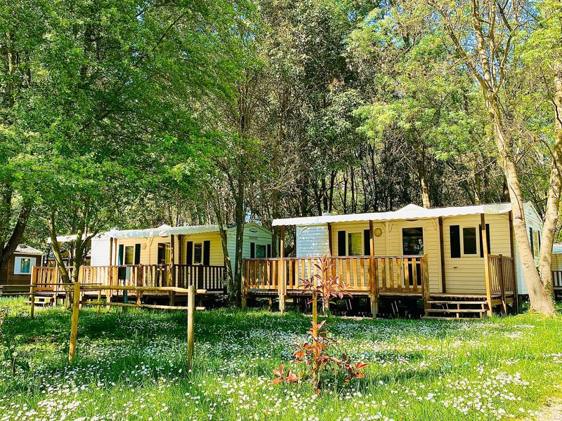 mobil homes climatisés camping du lion
