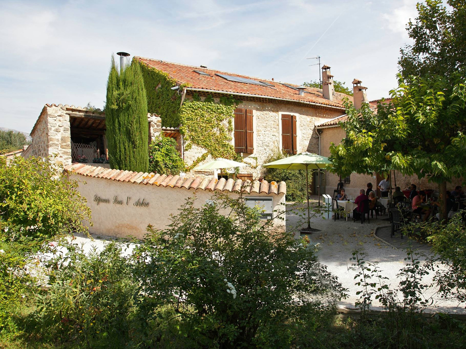 Déjeunez sous l'arbre - photo 5