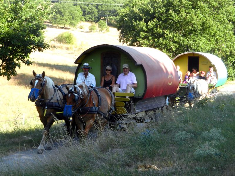 Roulotte chevaux et vacanciers