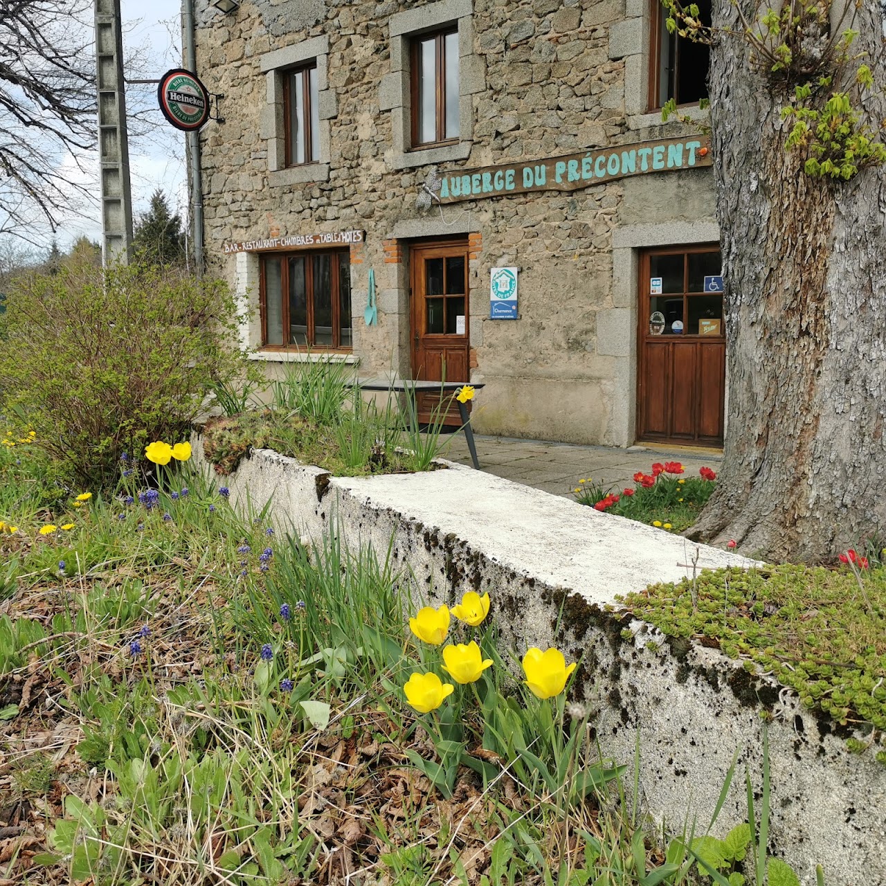 Auberge du Précontent (Arfeuilles) | Vichy Mon amour