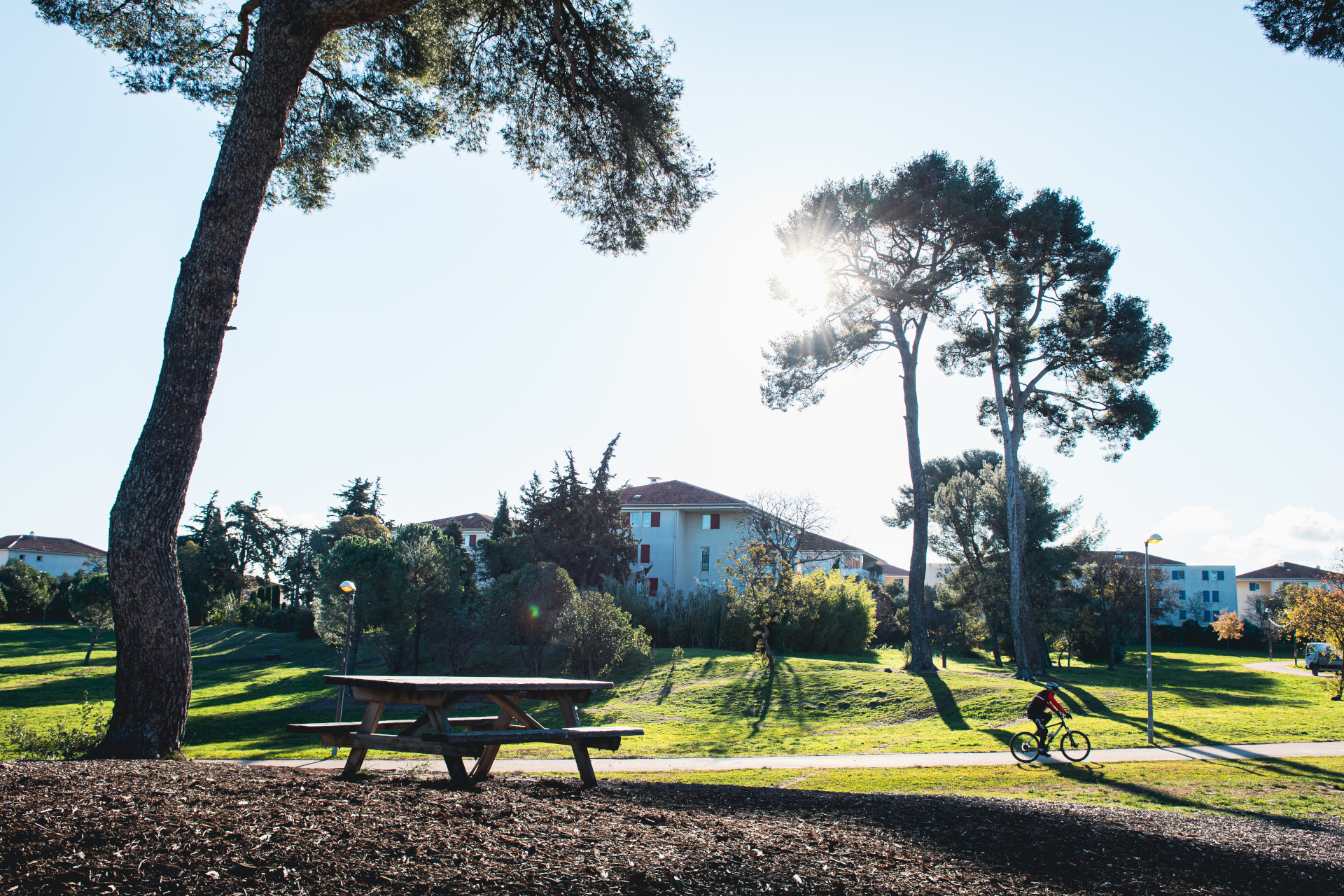 Parc Athéna - photo 3