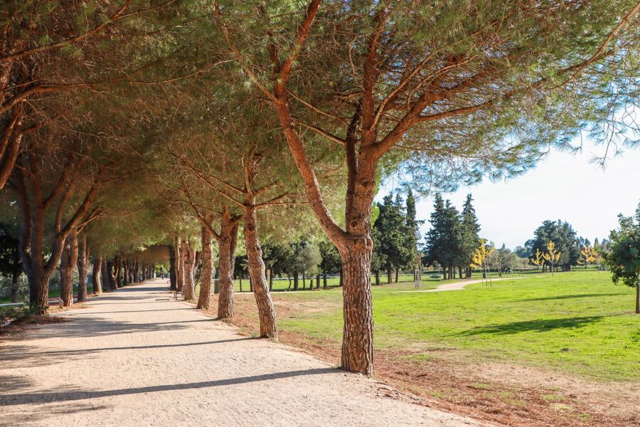 Promenade des Annamites