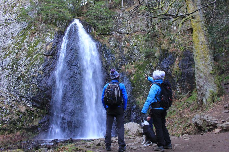 Randonnée avec un chien à la cascade du Queureuilh au Mont-Dore en hiver