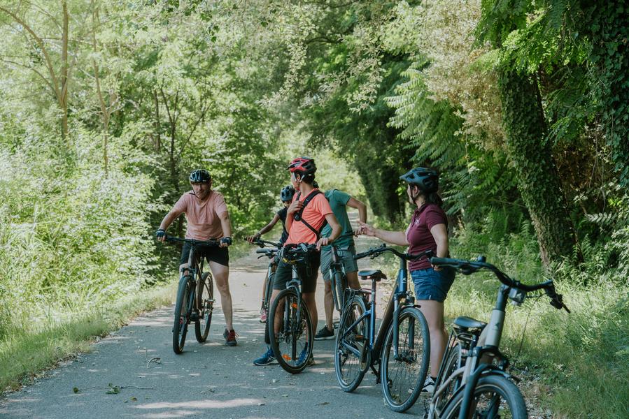 Vignobles en scènes | Vélo à assistance électrique dans les vignes_Valvignères