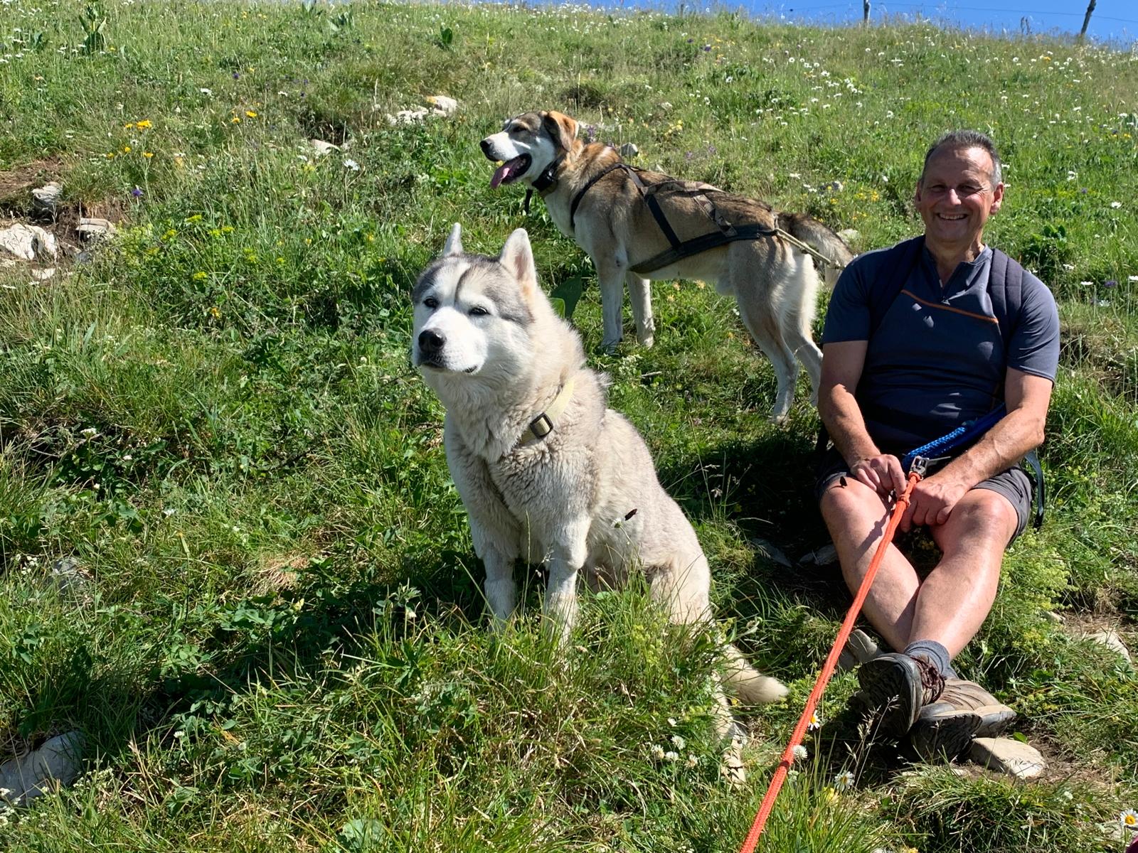 Cani-rando avec Symbiose