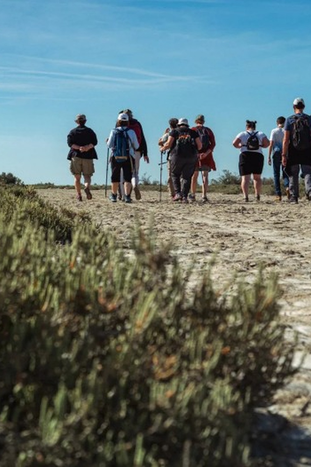Découverte de la Tour du Valat