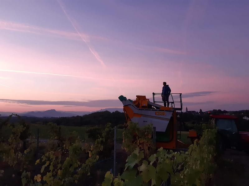 Maison Fusillet à Belley