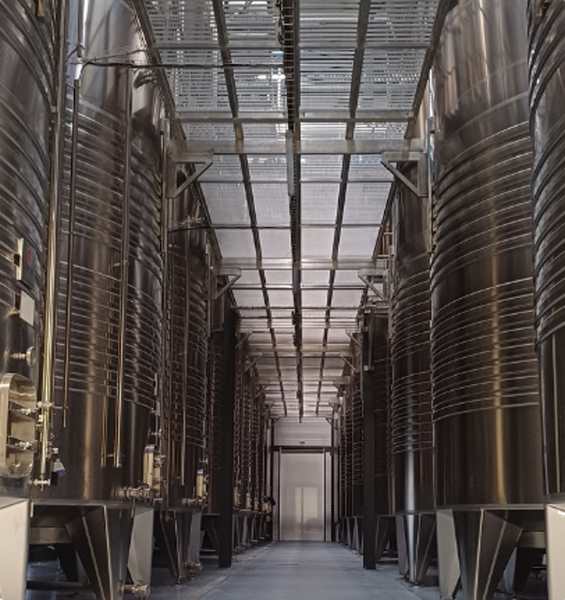 Les Lambesc'apades : visite du Vignoble du Roy René