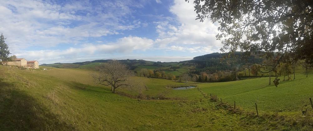 Grand Gîte \'Au Foin Tendre\' à Amplepuis (Rhône - Beaujolais Vert - proximité Lac des Sapins) : le gîte situé en pleine campagne.