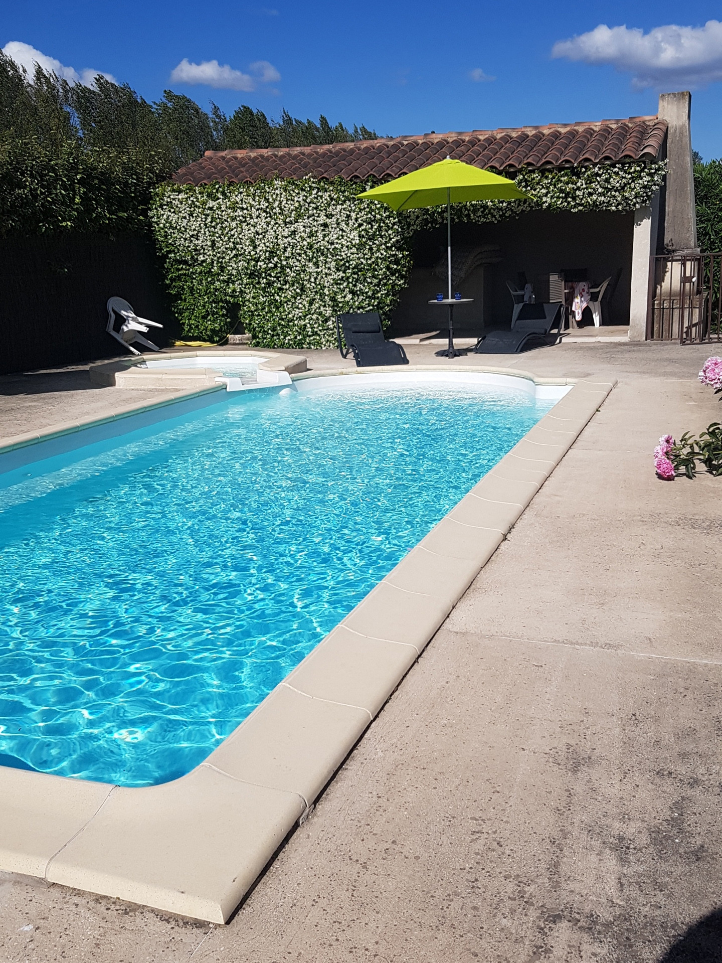 Mas des Paluds - photo 5