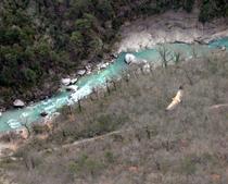 Le Vautour fauve (Gyps fulvus) , survolant le sentier Blanc-Martel