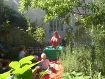 Comptines et chansonnettes au jardin…  Avec Sandrine Boudry, Et roulent les mot…