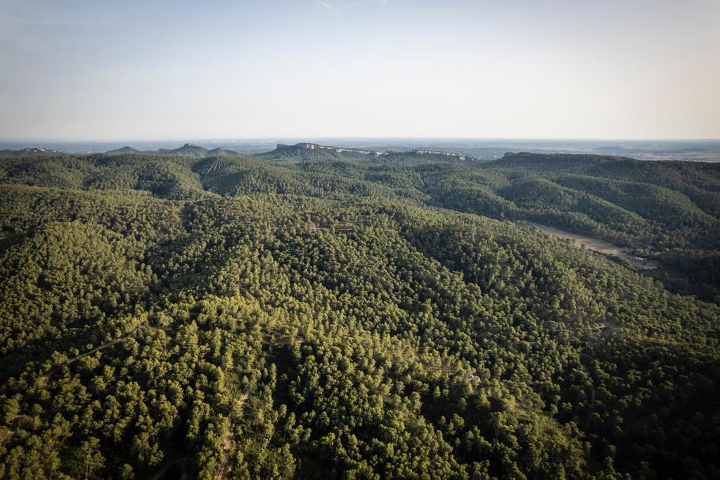 Petit Gîte Notre Dame - photo 3