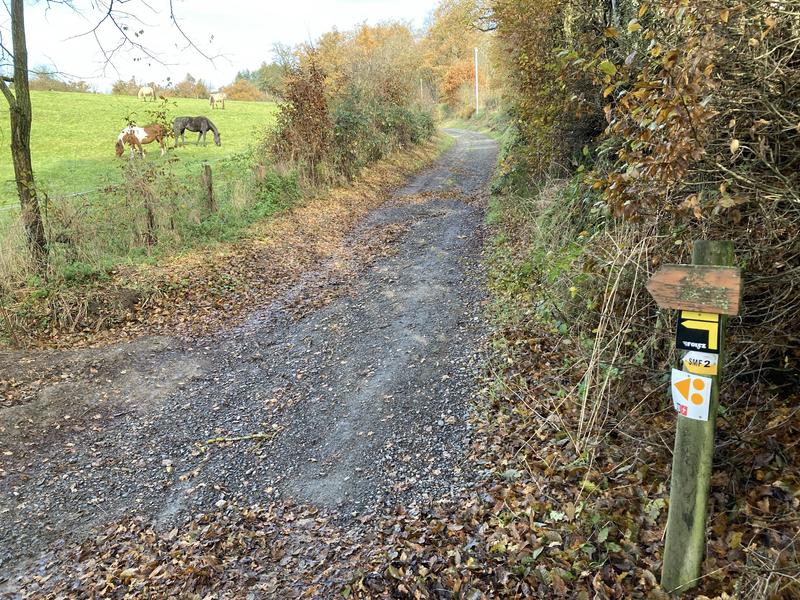 Sentier des moulins_Saint-Médard-en-Forez
