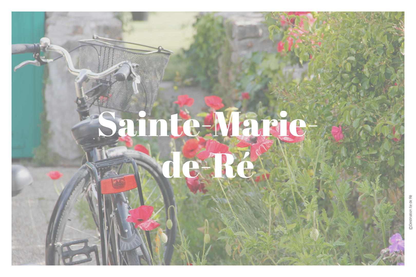 Marche - Club des Jeunes Aînés