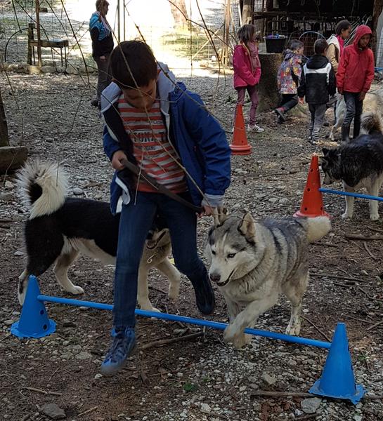 Les Ateliers du Parc Nordique - Agilty