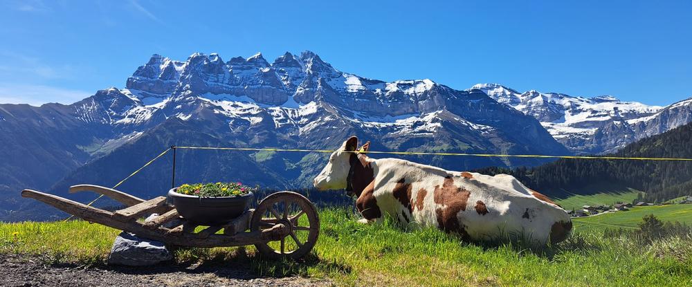 Restaurant des Bochasses_Morgins