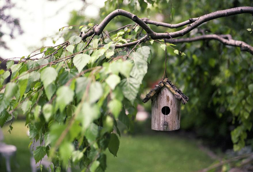 Atelier nature - Un restau pour les petits becs
