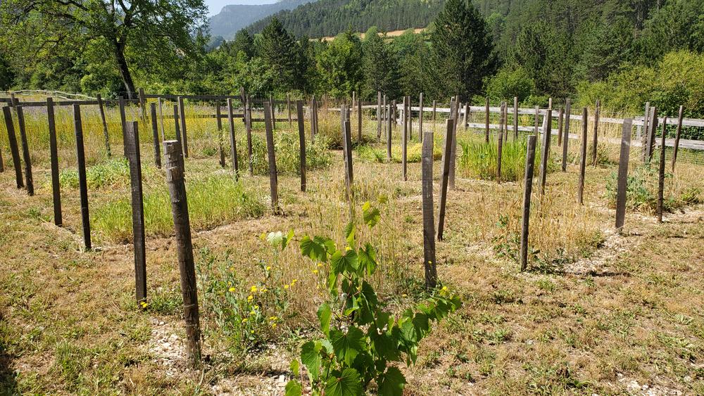 Journées « Ateliers de la Préhistoire »_Lalley