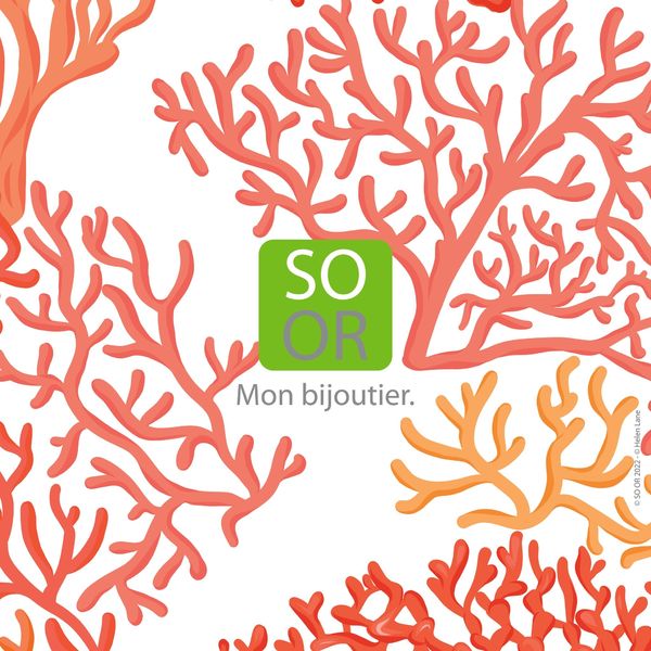 So'Or Mon Bijoutier