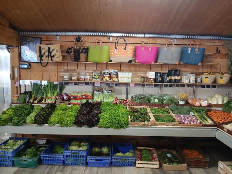 Fruits et légumes du Logis du Pin_La Martre