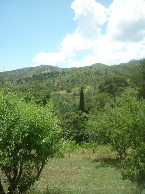 Le Mas des Aludes, La Destrousse - photo 8