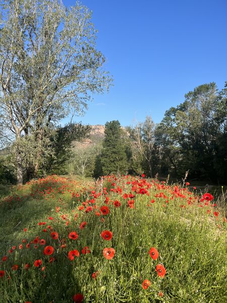 Rocher de Roquebrune