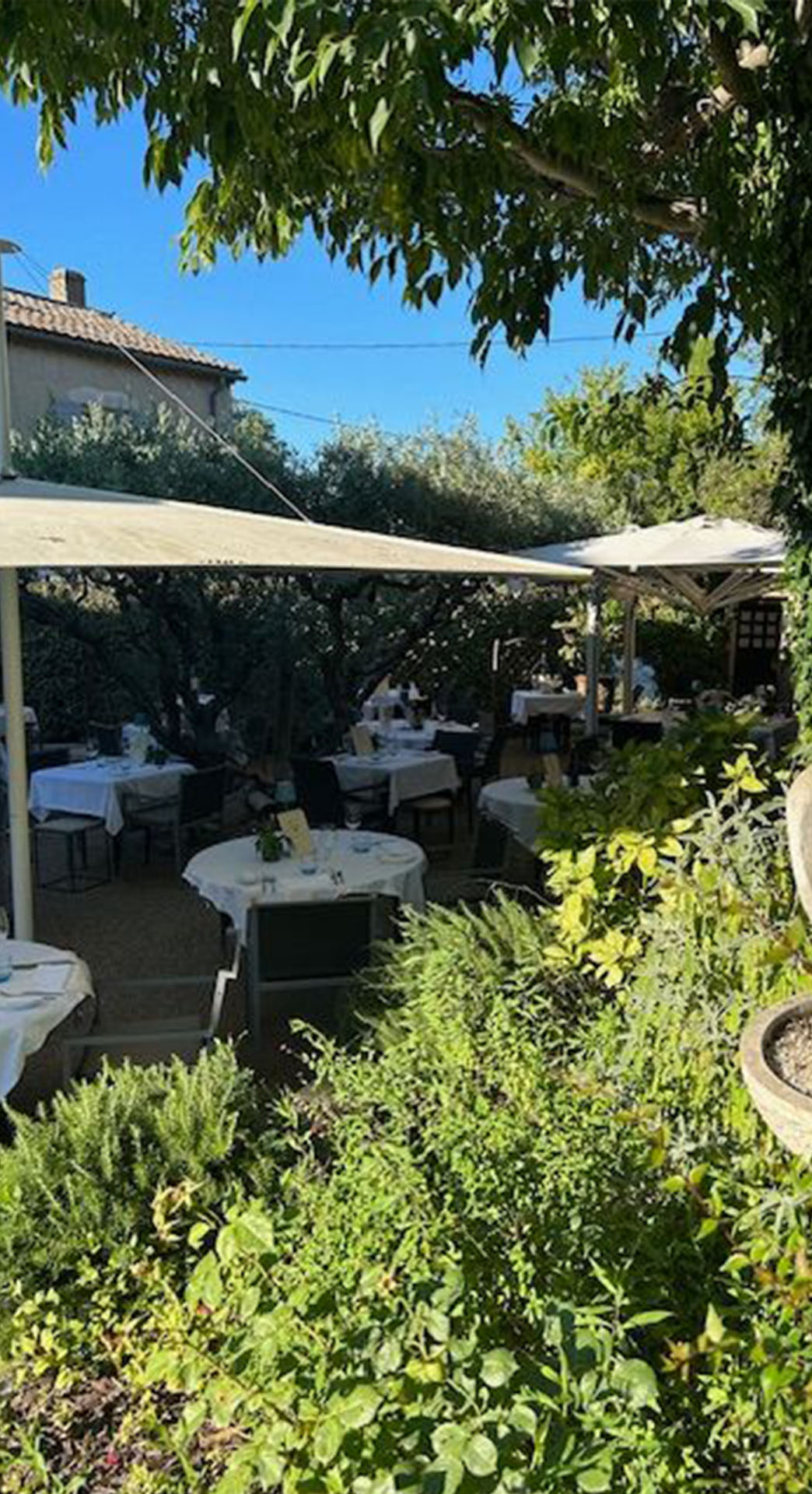 La Table d'Yvan — photo 3