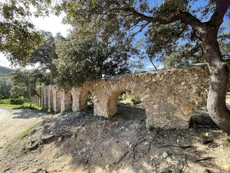 Randonnée découverte de la flore méditerranénne avec guide SAB Esterel_Roquebrune-sur-Argens
