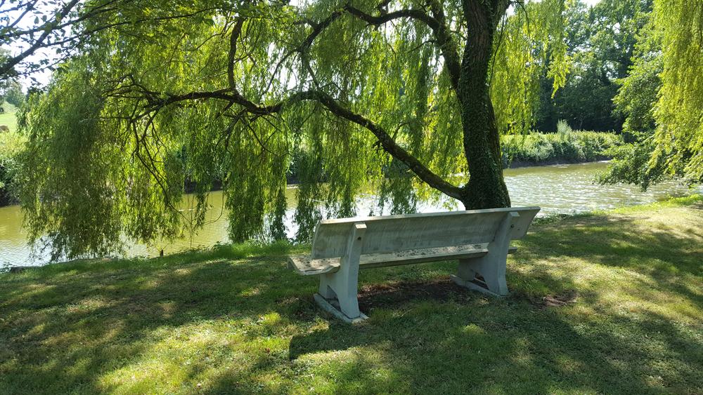 Circuit VTT-VTC n°20 (rouge) Les Hauts de Servignat - Coq de Mantenay_Saint-Trivier-de-Courtes