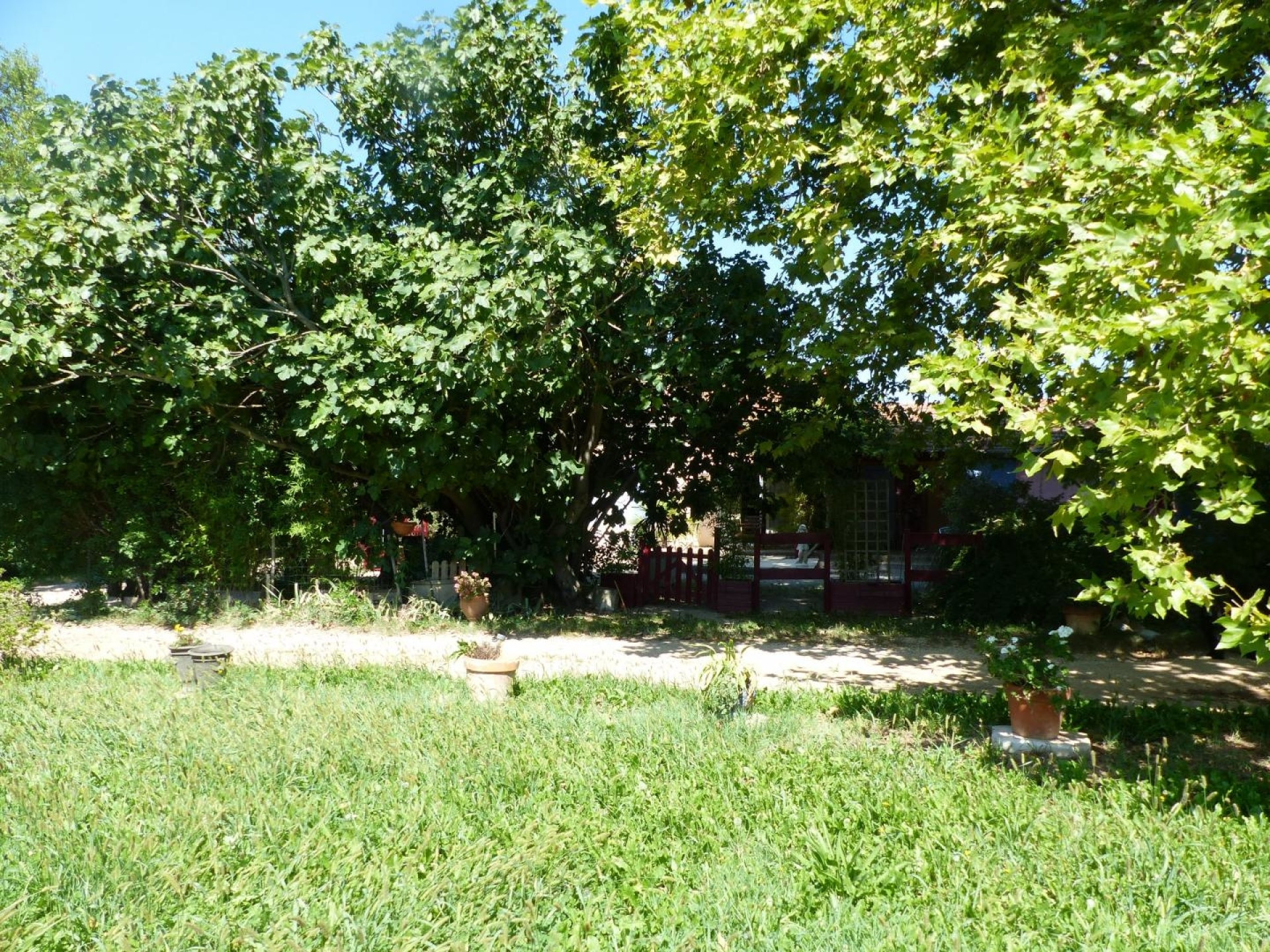 Domitia, Mollégès - photo 21