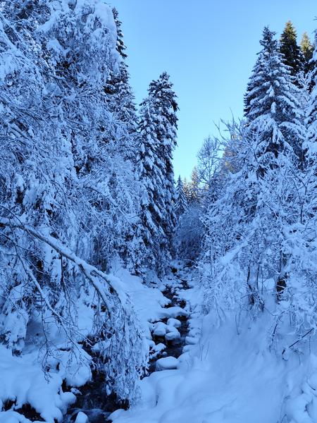 Boucle des Plaines - sentier raquettes_Cordon