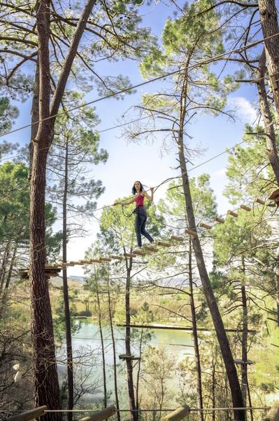 Parcours aventure dans les arbres 