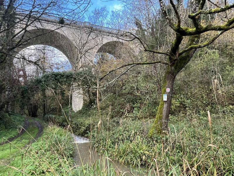 Vallée de l'Escambouille